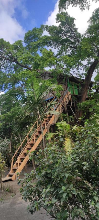 Tanna Volcano View Tree House Lenkuru Zewnętrze zdjęcie