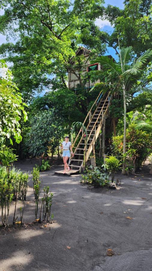 Tanna Volcano View Tree House Lenkuru Zewnętrze zdjęcie