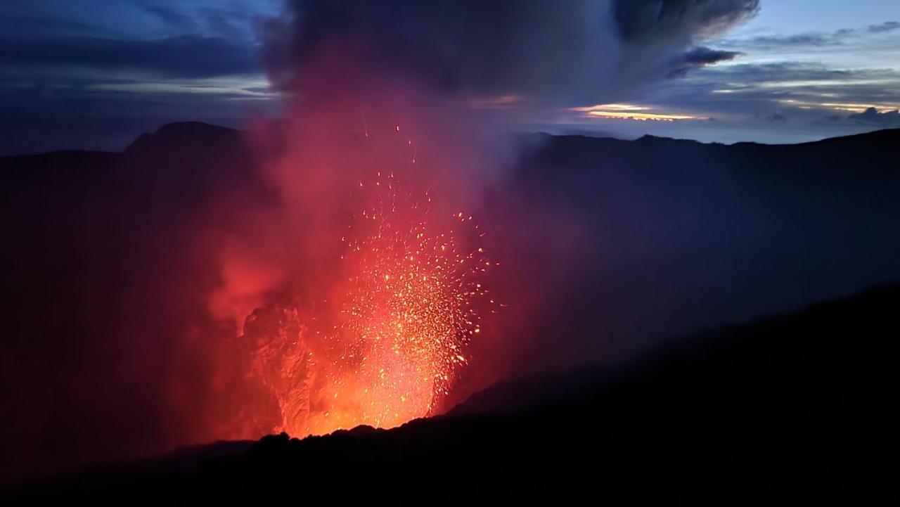 Tanna Volcano View Tree House Lenkuru Zewnętrze zdjęcie