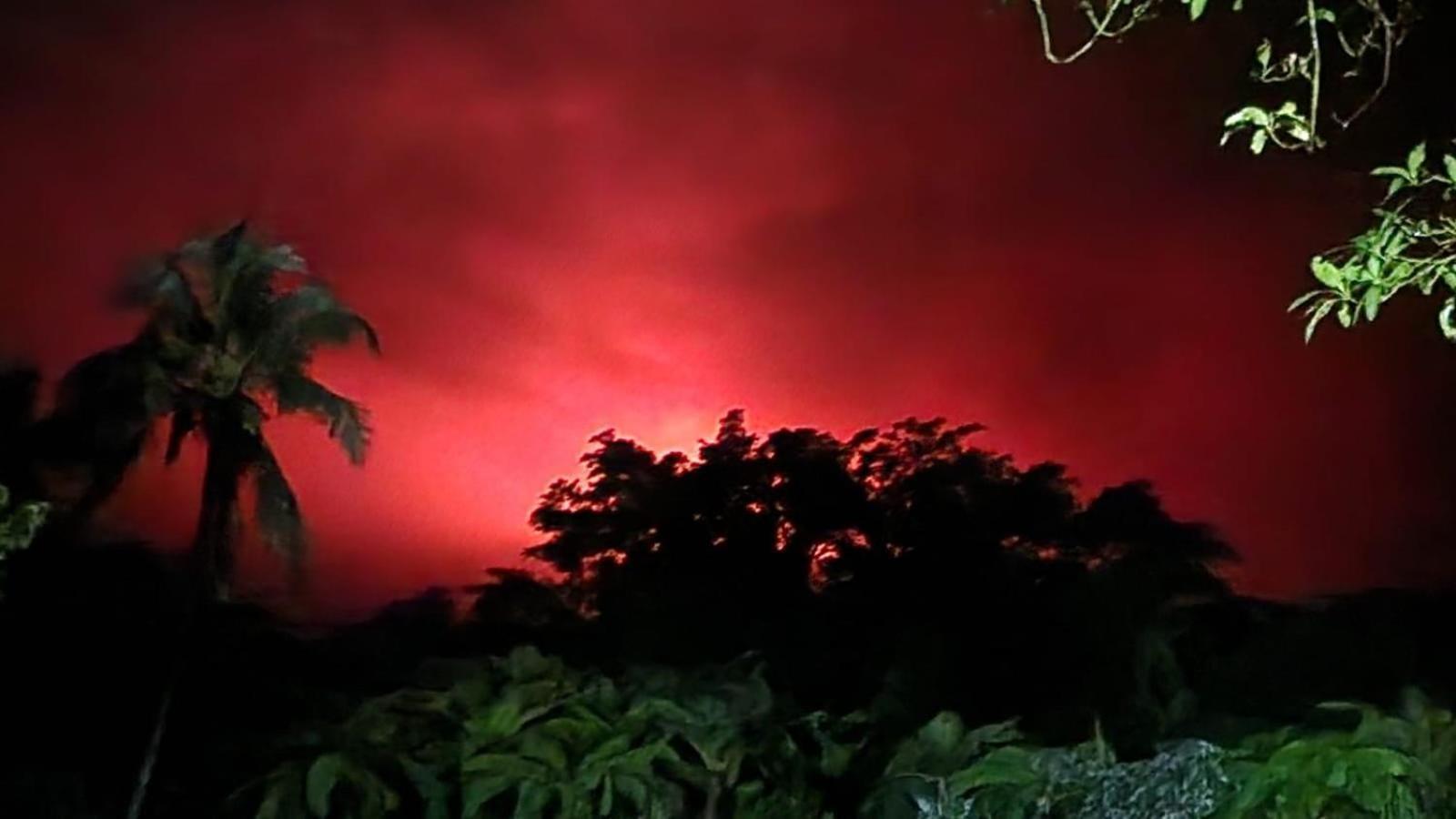 Tanna Volcano View Tree House Lenkuru Zewnętrze zdjęcie